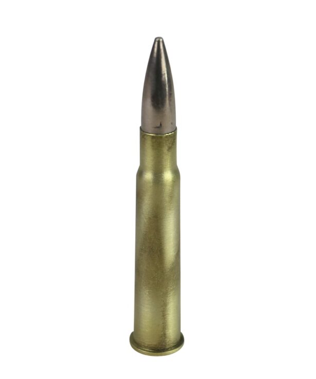 .303 Bullet