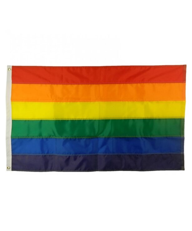 Rainbow / NHS Flag